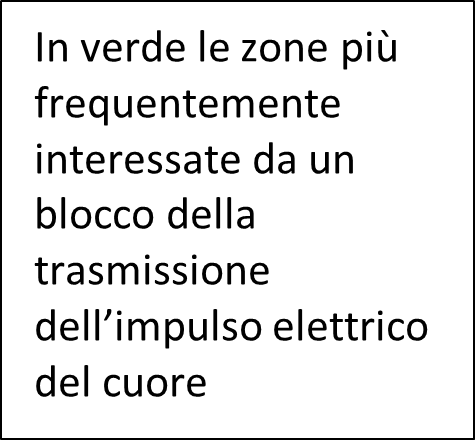 Ritmo3